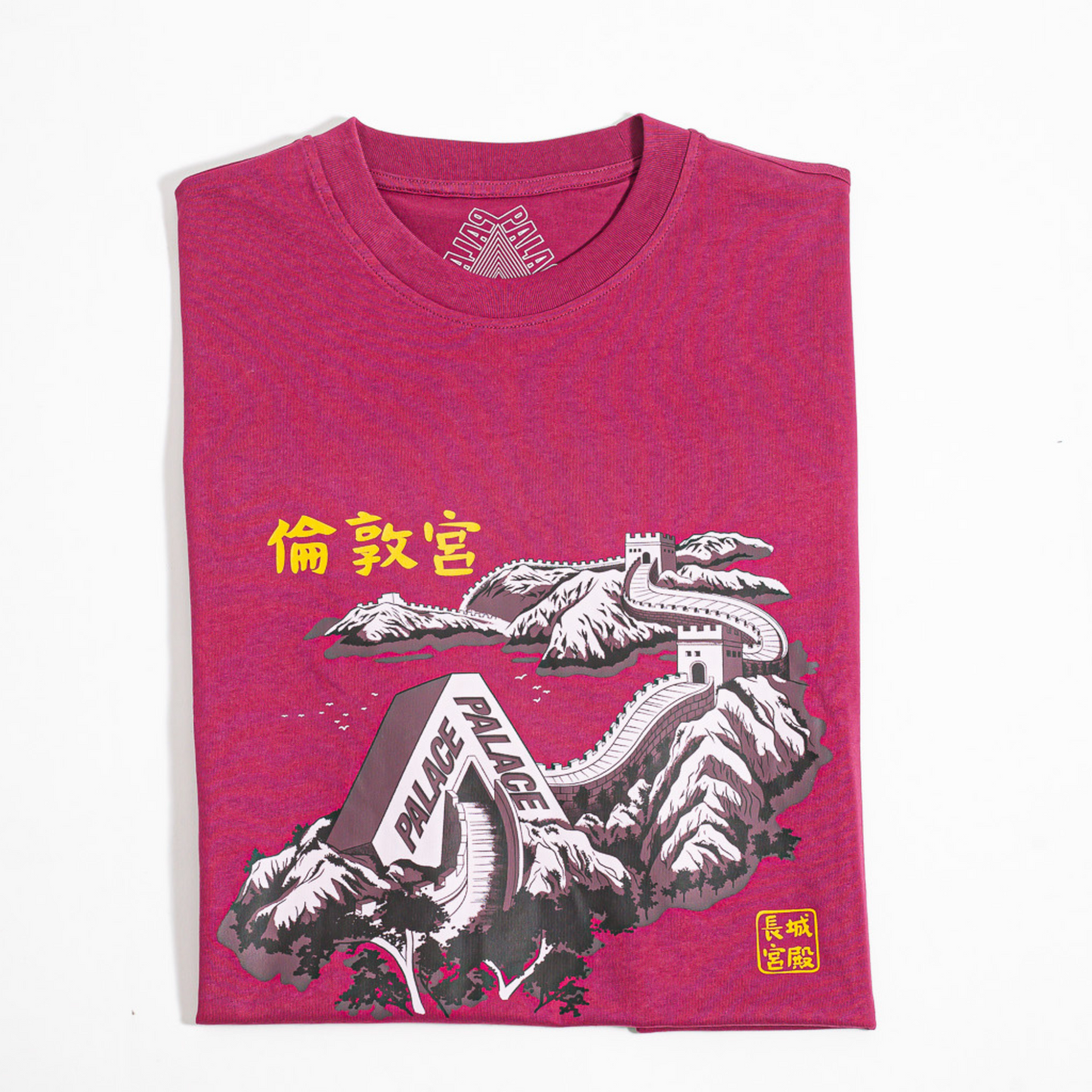 Camiseta Palace Great Wall