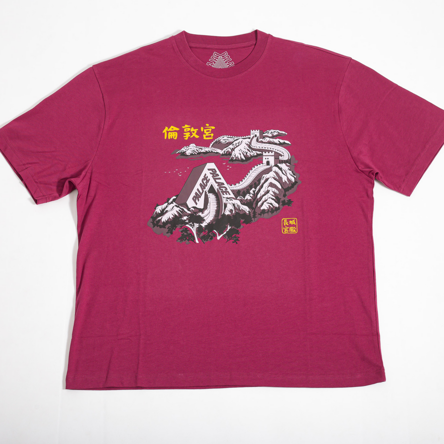 Camiseta Palace Great Wall