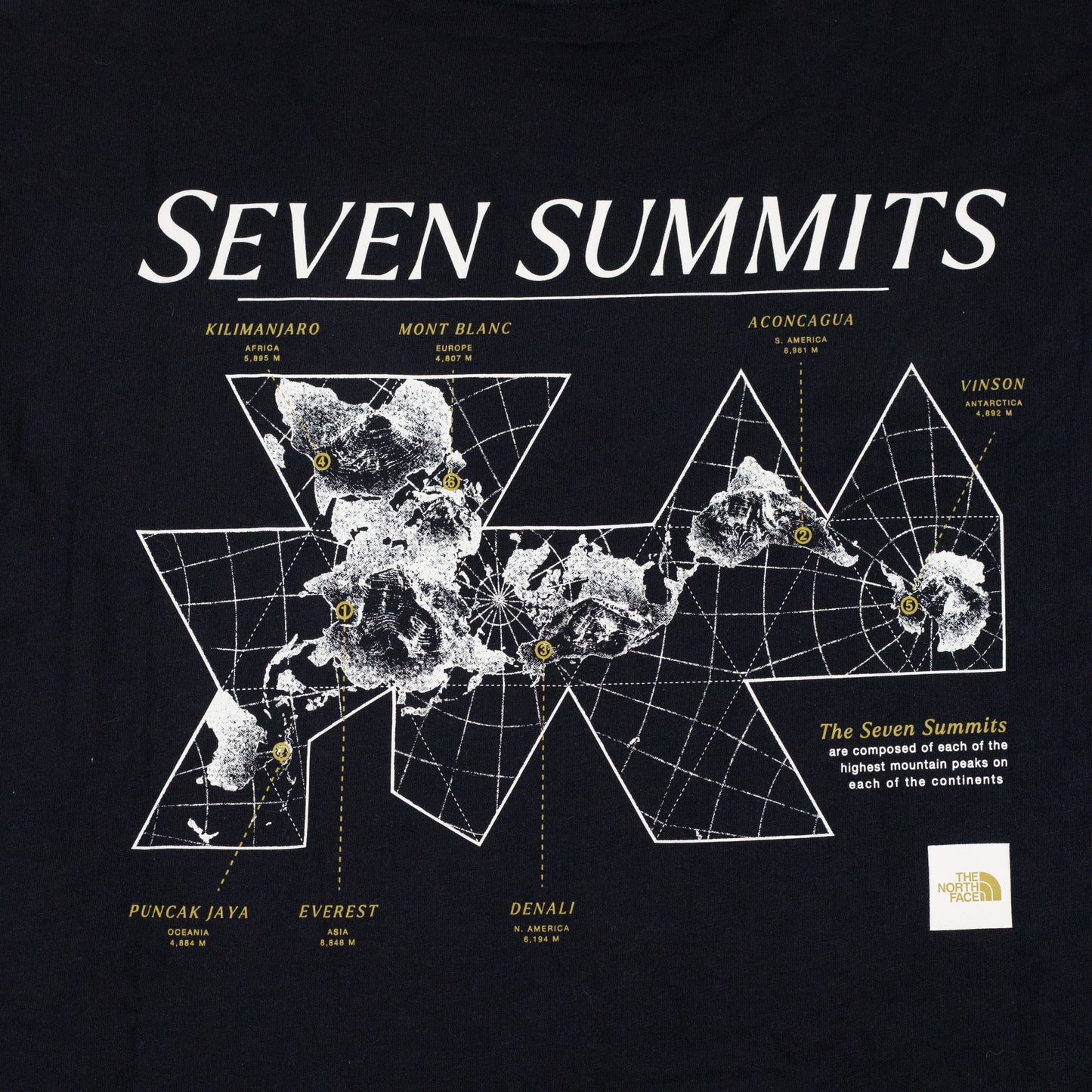 Camiseta The North Face Topographic Seven Summits