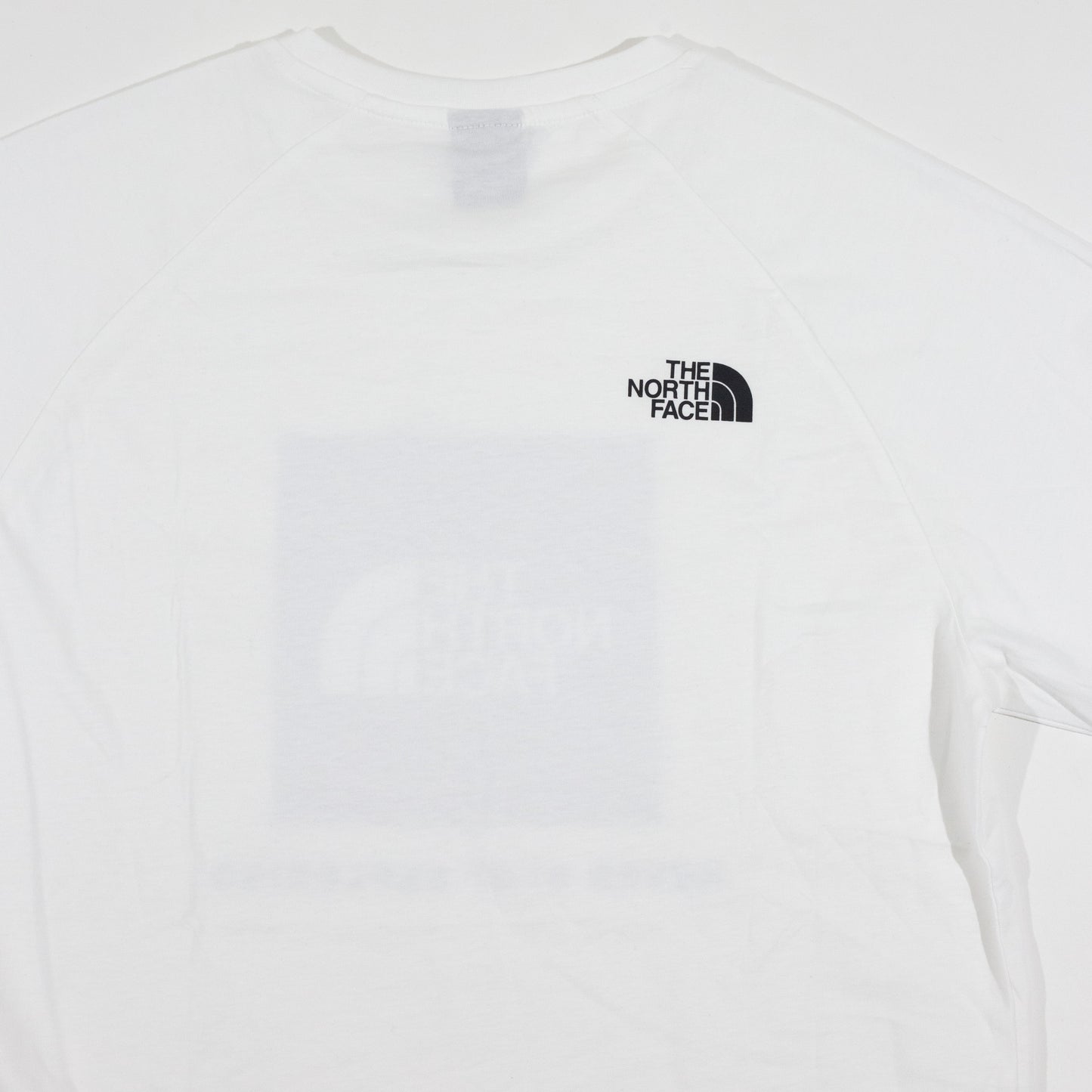 Camiseta The North Face Raglan