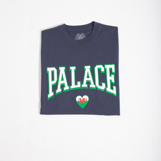 Camiseta Palace Squad