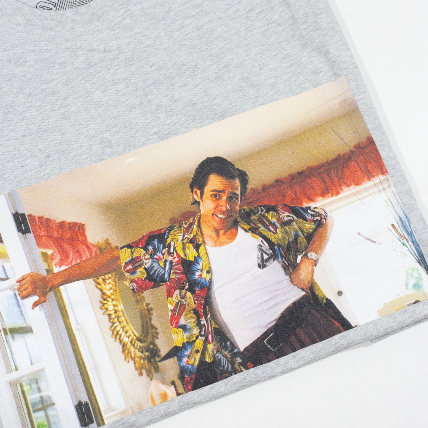 Camiseta Palace Ace Ventura Cinza